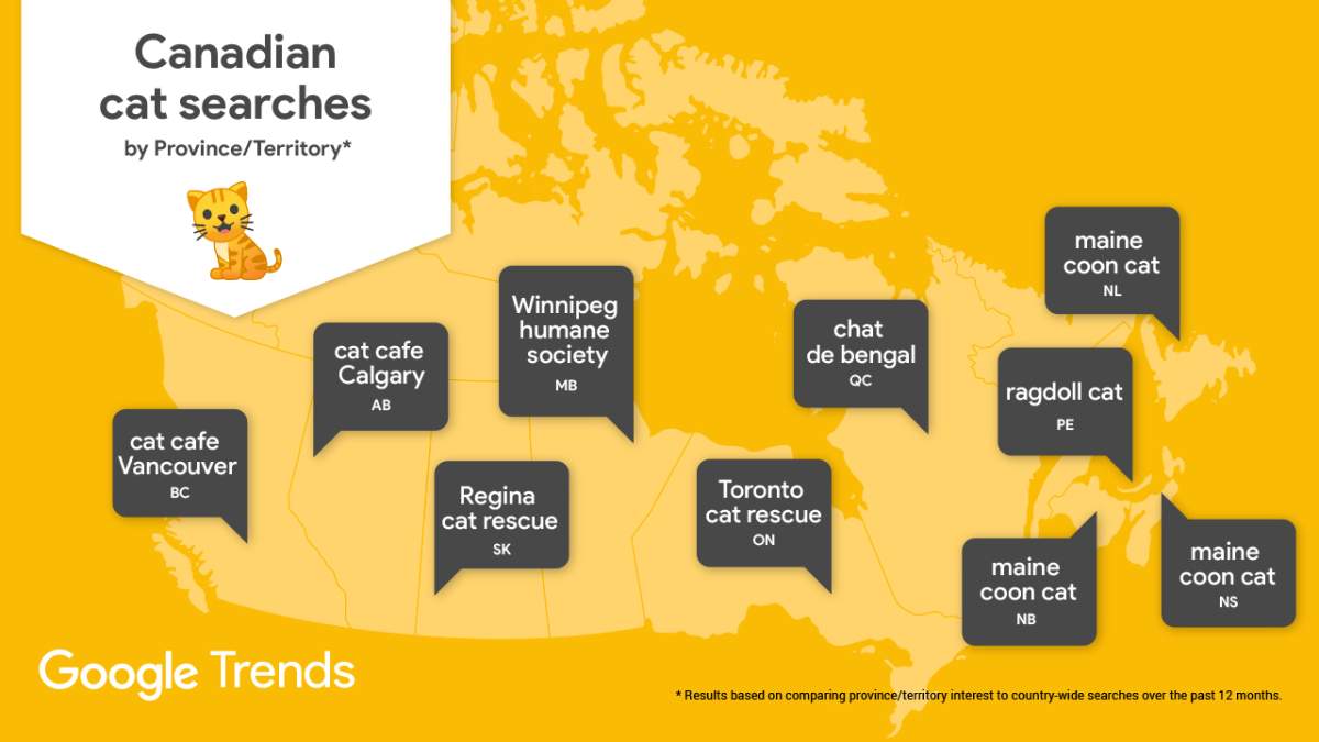 Cat trends in Canada