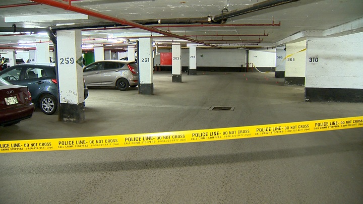 Toronto police are investigating after a man in his 80s was killed in an alleged hit-and-run.