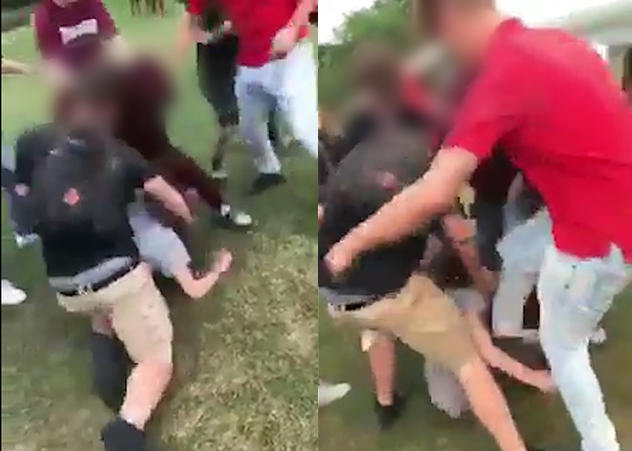 Police have made two arrests after Hamilton teen beaten at Gage Park. 