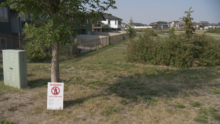 Soon you'll start to see city crews spraying for weeds around Regina’s parks and athletic fields. 