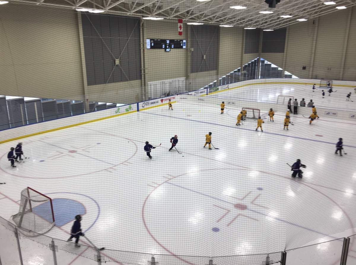 Coronavirus: Rec centres, ice rinks could be first victims of budget cuts as cities forced to balance books - image