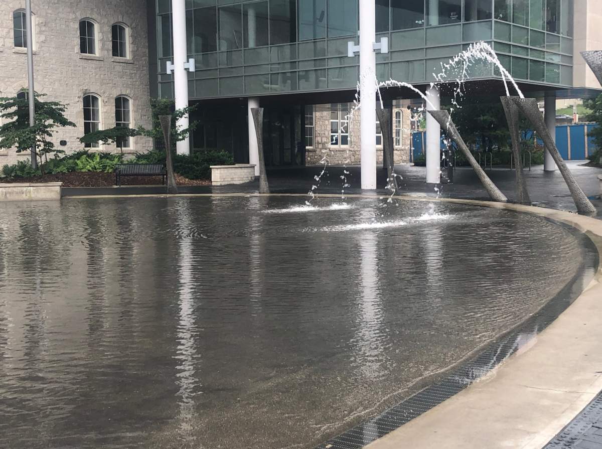 Guelph police say an employee was coughed on while conducting COVID-19 screening at the Market Square wading pool.