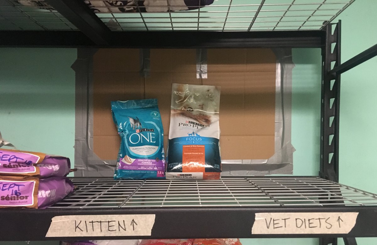The London Humane Society is appealing to the public for donations of kitten food. 