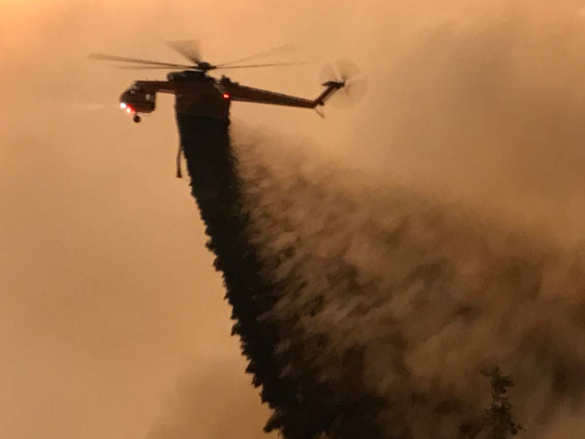 Credit: Rene Crouse.