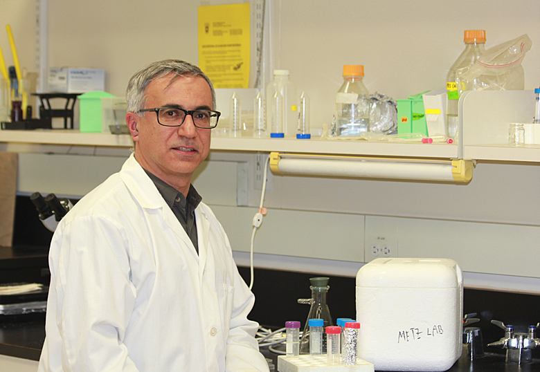 Dr. Jamshid Faraji was part of a research team that found female rats that live in more social environments have lower levels of stress and anxiety.