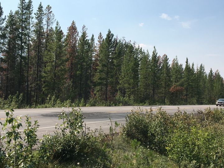 6 people killed in crash south of Jasper Globalnews.ca