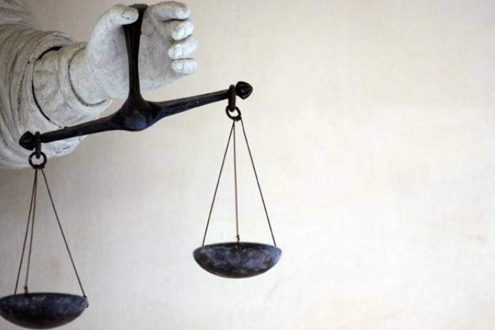 N.L. businessman sentenced to house arrest for shooting dog in ‘act of revenge’ - image