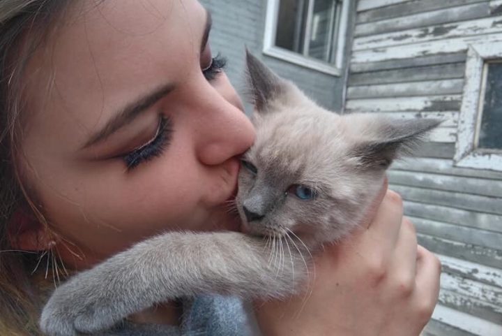 Kailynn Bursic-Panchuk was airlifted to hospital after a vehicle and train collided near Weyburn on Aug. 16, 2018. SGI says its new campaign has a clear message – distracted driving kills.