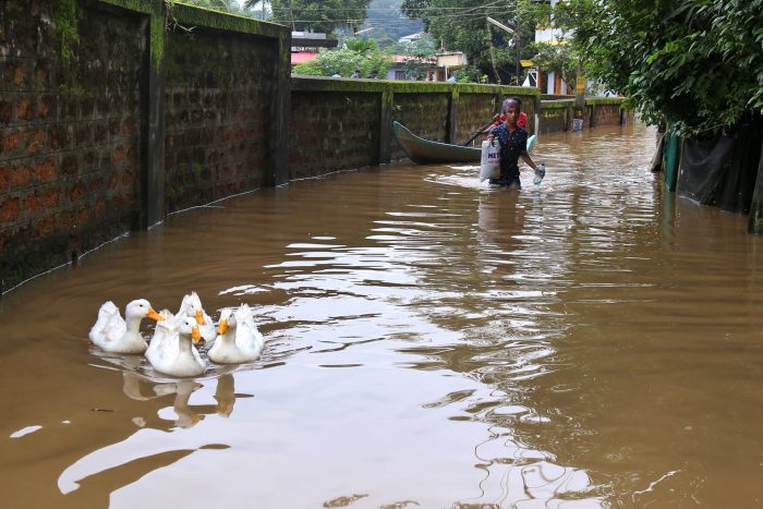 Kerala rains: 26 dead, thousands evacuated amid India flooding - National |  
