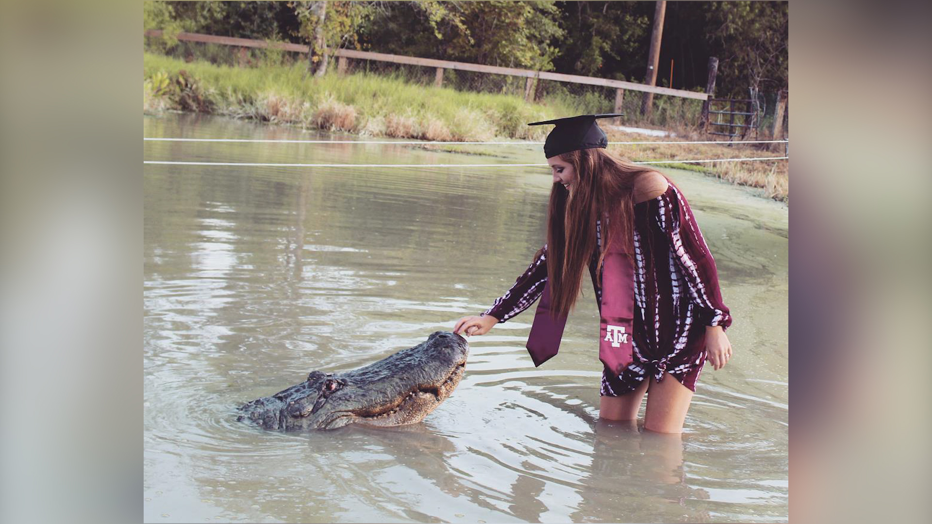 Internet snaps at Texas student who posed with alligator in grad