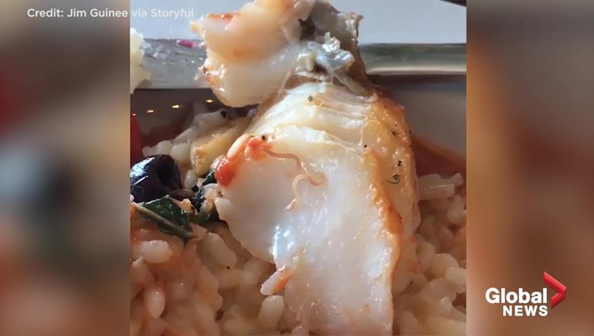 Man finds live worm crawling inside his fish dish at New Jersey restaurant  - National