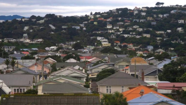 Residential houses are seen in Wellington, New Zealand in this July 1, 2017 file photo.