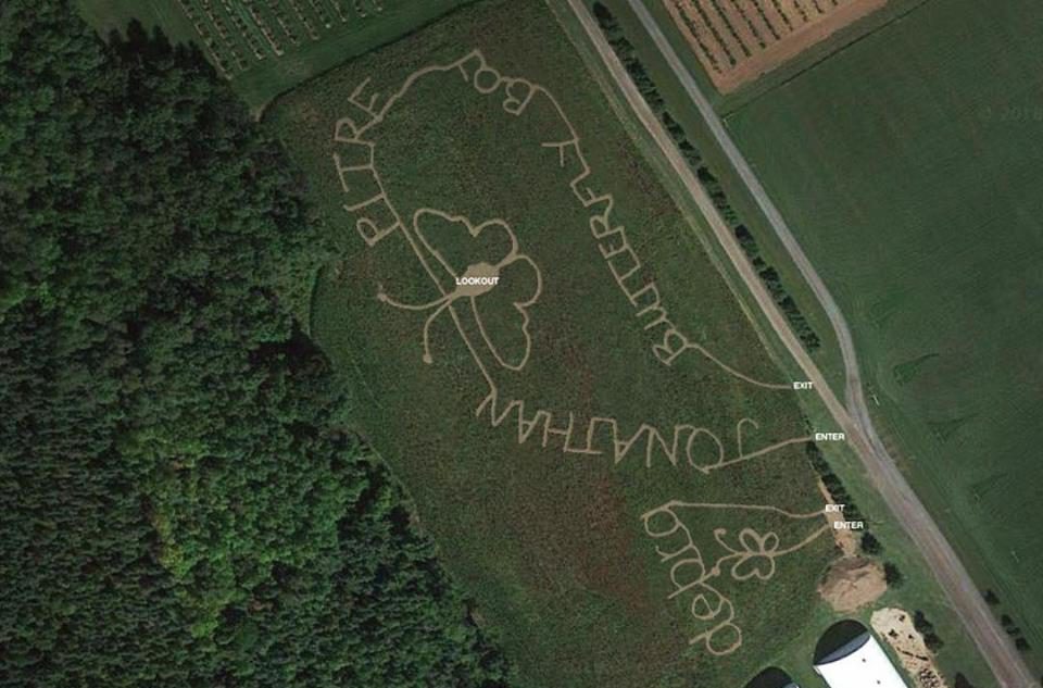 Local orchard remembers Jonathan Pitre with corn maze design - image