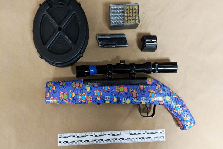Police conducted a search in Prince Albert, Sask., that lead to the seizure of a colourfully decorated gun.