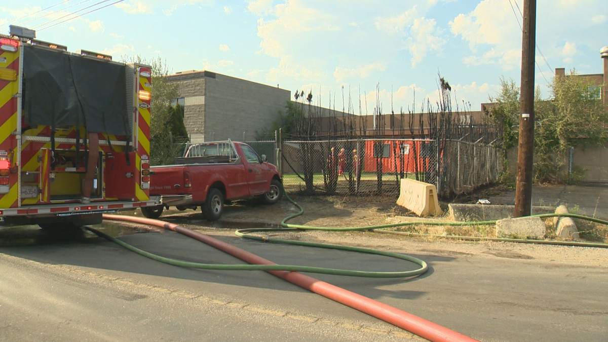 A man is in custody after allegedly trying to steal from a liquor store and then setting fire to its hedge. 