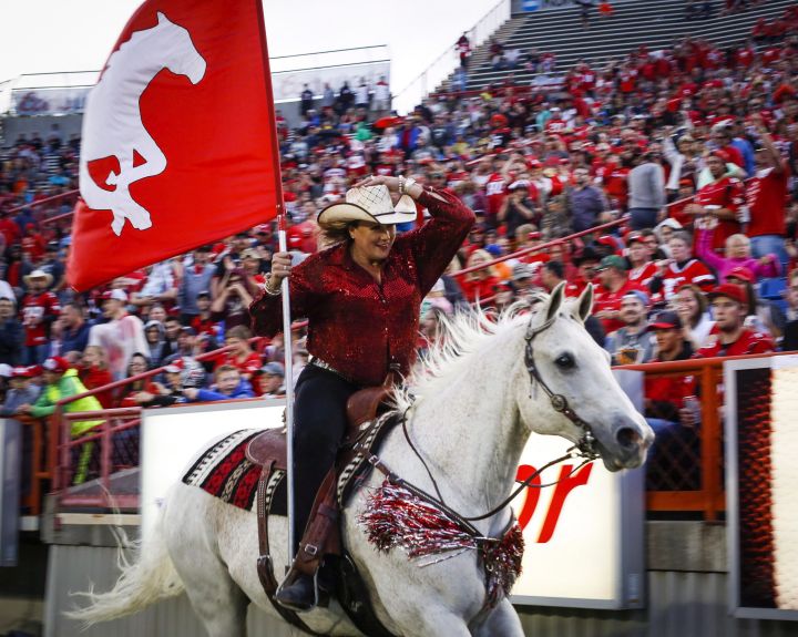 Calgary Stampeders' Karyn Drake, who has ridden Quick Six the Touchdown Horse at games for 23 years, rides along the sidelines after a Stampeders touchdown during first half CFL football action against the Winnipeg Blue Bombers in Calgary, Friday, July 1, 2016.