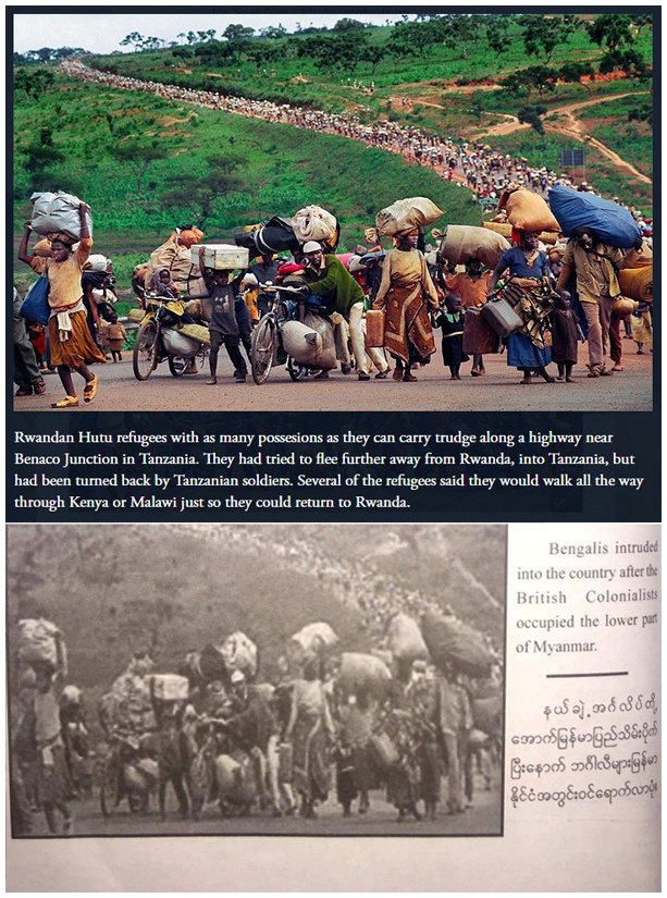 A combination of screenshots shows (top) an image taken from the Pulitzer Prize website depicting the migration of Rwandan Hutu refugees in 1996 following violence in Rwanda. The same image (bottom) appears in the Myanmar army’s recently published book on the Rohingya, converted to black-and-white, describing the people as Bengalis entering the country following the British colonial occupation of lower Myanmar.