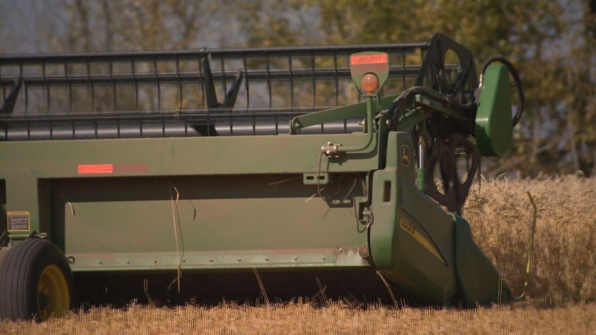 Saskatchewan Agriculture said the rain in the past week will result in a downgrade of crops still in the field, but will benefit pastures.