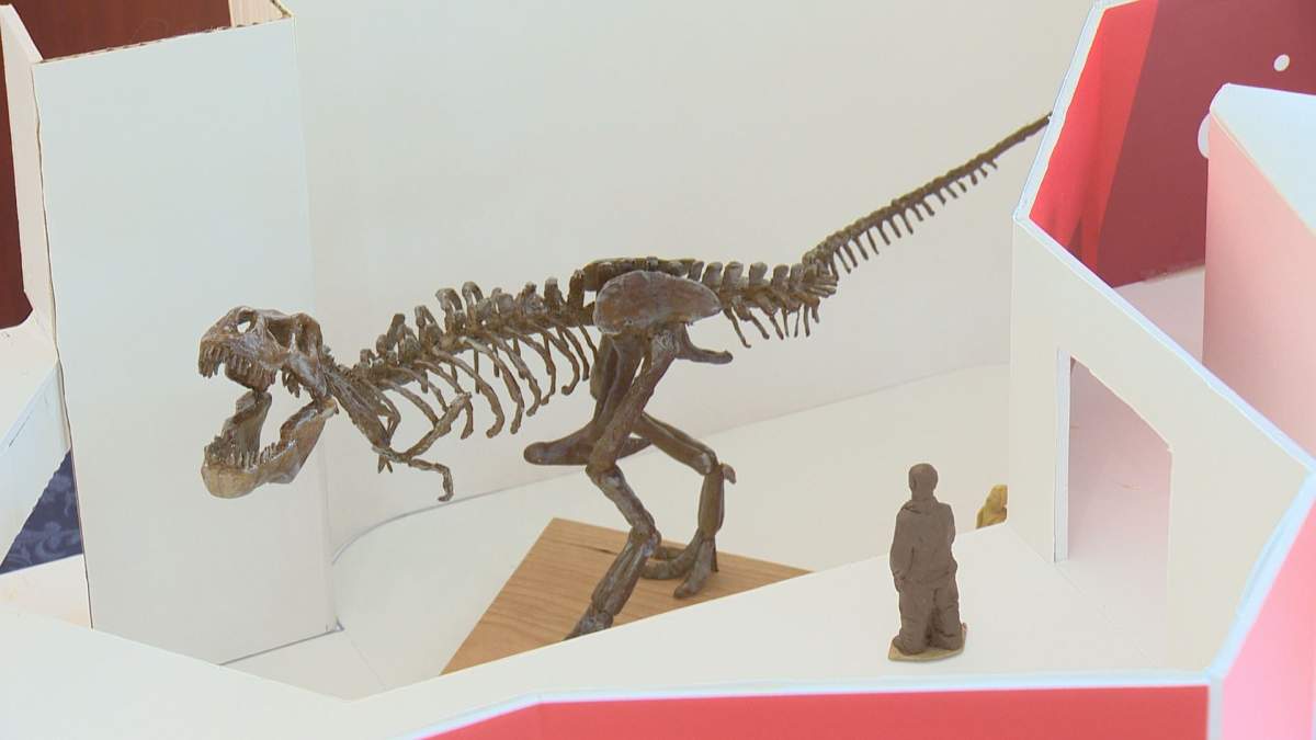A model of what the future T. rex display will look like at the Royal Saskatchewan Museum.