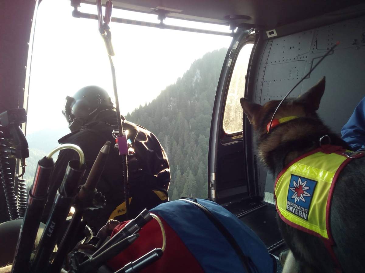 Rescuers scour the SAlps in search of Freiheit.
