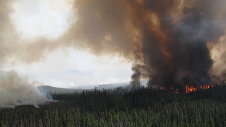 Photos, videos of the 2018 wildfires burning around B.C. | Globalnews.ca