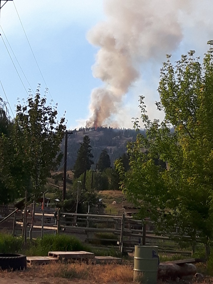 Smoke rises from a new fire near Summerland.