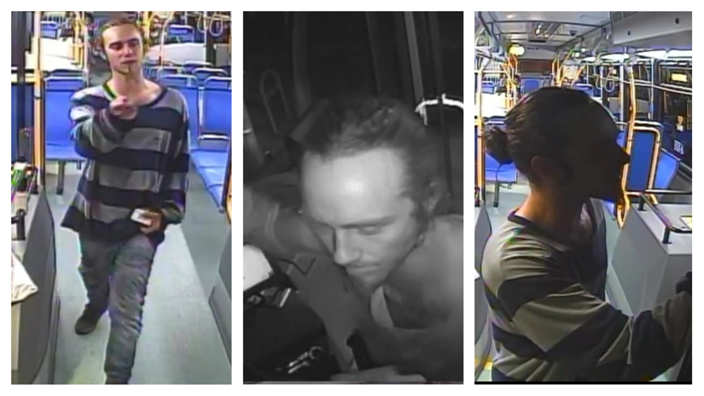 Suspect in assault on Halifax bus driver turns himself in - image