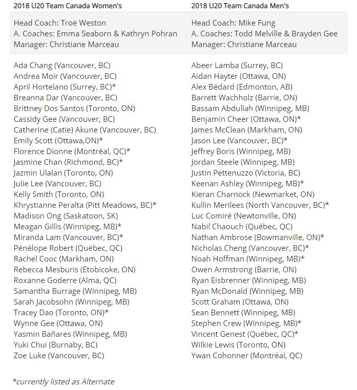 Winnipeg teens flying high in Waterloo at World Junior Ultimate Championship - image