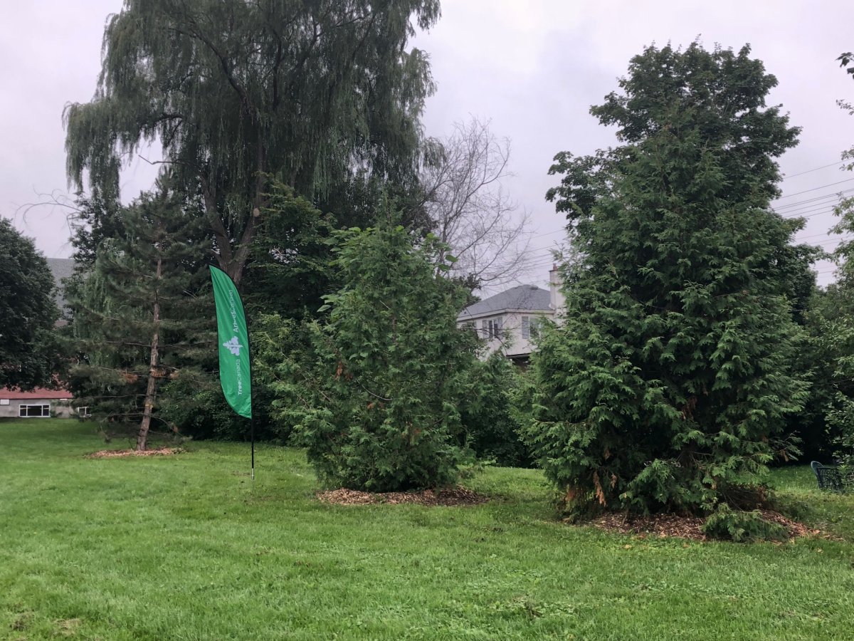 City of Ottawa saves 50 trees in westend park from deathbyLRT