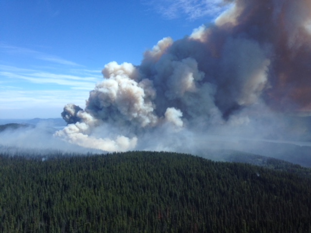 The Torkelsen Lake wildfire from the air. Courtesy of the B.C. Wildfire Service.