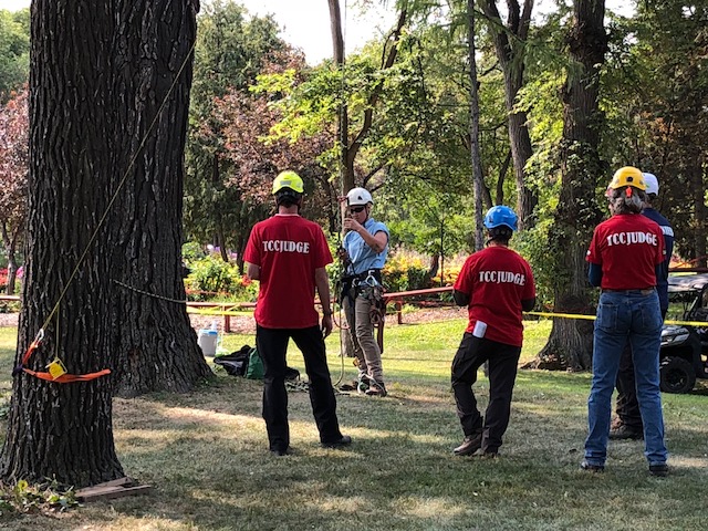 Best Prairie tree climbers hit the canopy this weekend in Kildonan Park - image