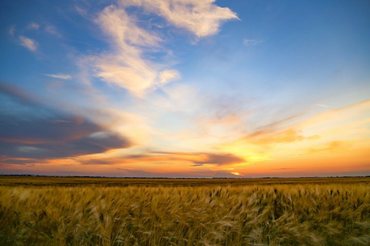 Tuesday’s Your SK was taken by Bill Allen in Ralph.