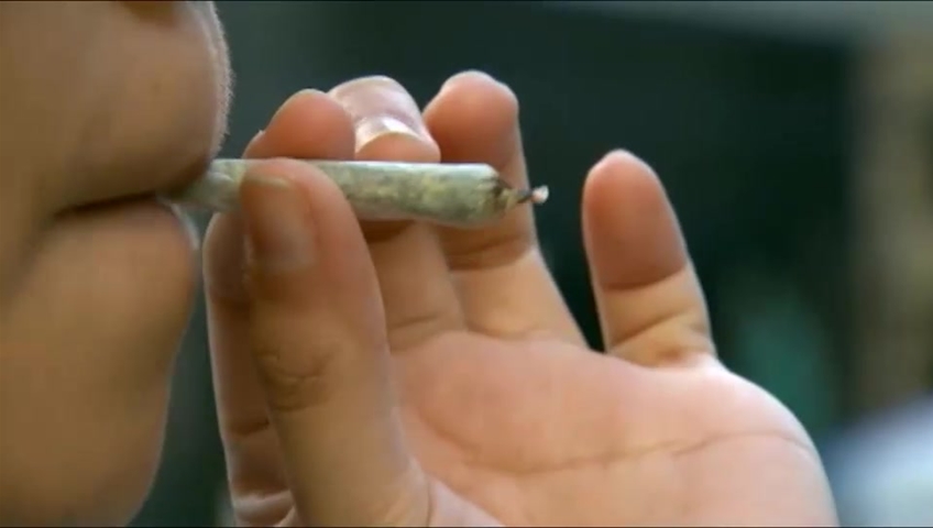 Recreational cannabis use will not be permitted at Trent University or Fleming College.