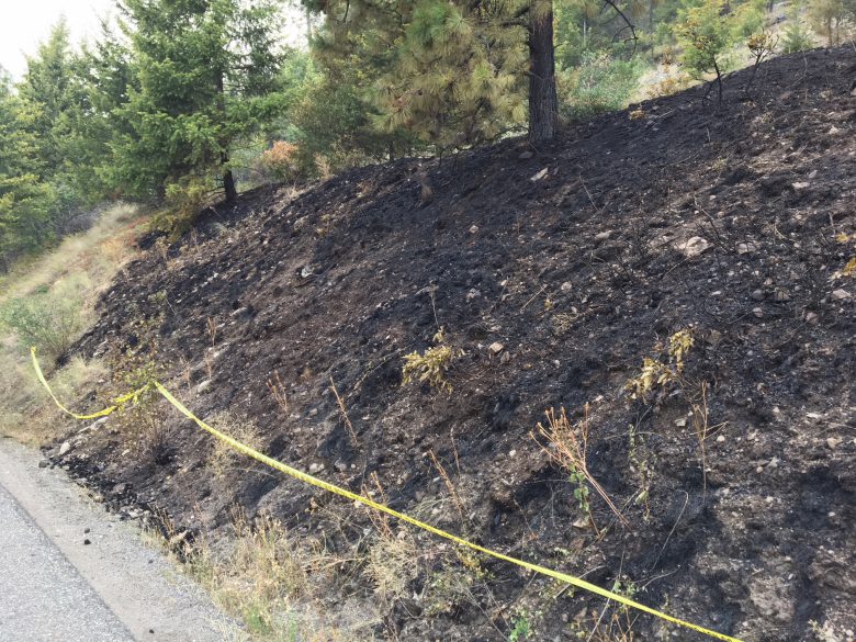 A scorched hillside behind yellow caution tape on Westside Road Aug 7, 2018. 