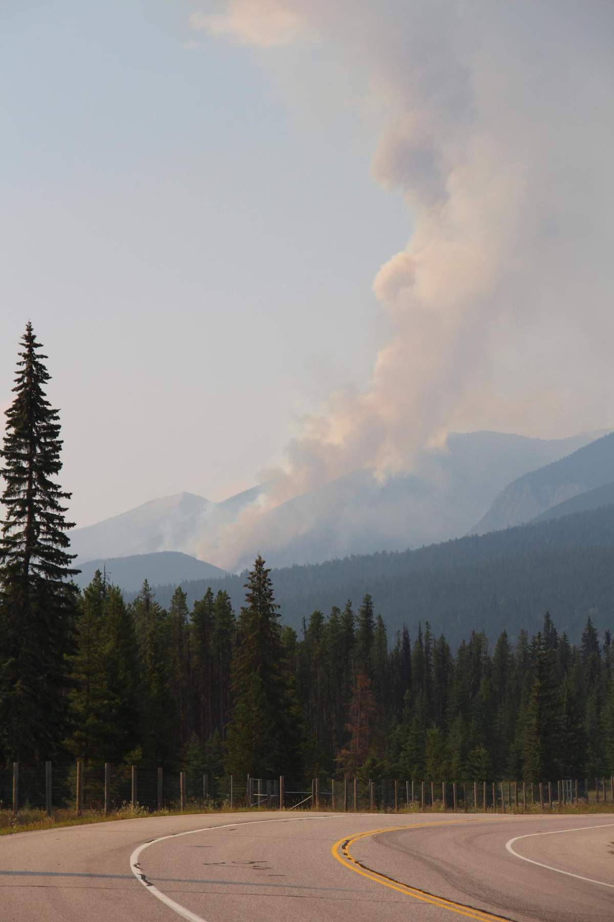 The Whitetail Creek fire. Courtesy: Kootenay National Park Facebook page.