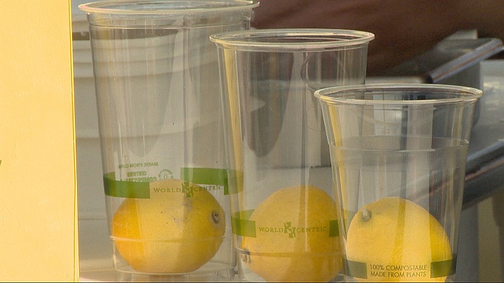 Disposable cups made from corn, at the 2018 Whoop-Up Days festival.
