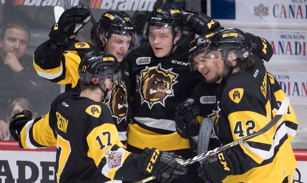 2018-19 Ontario Hockey League Preview - image