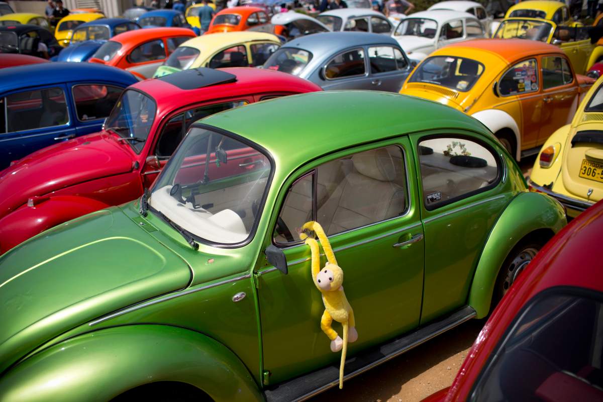 FILE- In this April 21, 2017, file photo Volkswagen Beetles displayed during the annual gathering of the "Beetle club" in Yakum, central Israel.