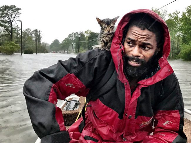 Robert Simmons Jr. and his kitten "Survivor" are rescued from floodwaters after Hurricane Florence dumped several inches of rain in the area, Sept. 14, 2018 in New Bern, N.C.  

