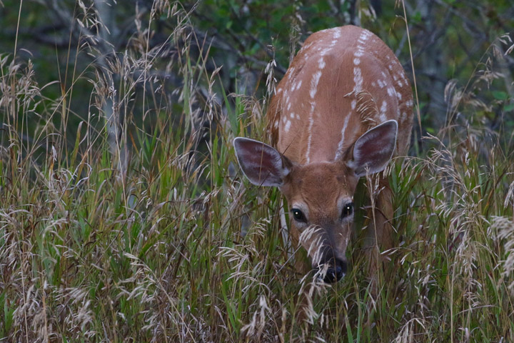 Brenda Gawluk took the Sept. 5 Your Saskatchewan photo near Cranberry Flats.