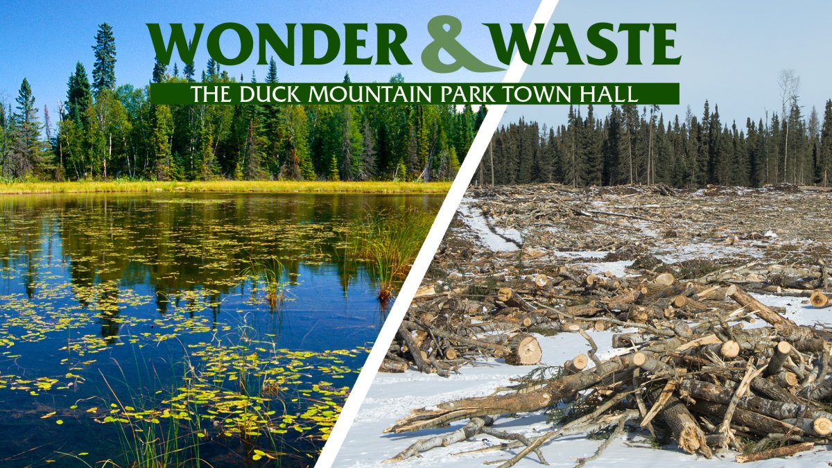 Wonder and Waste: The Duck Mountain Park Town Hall - image