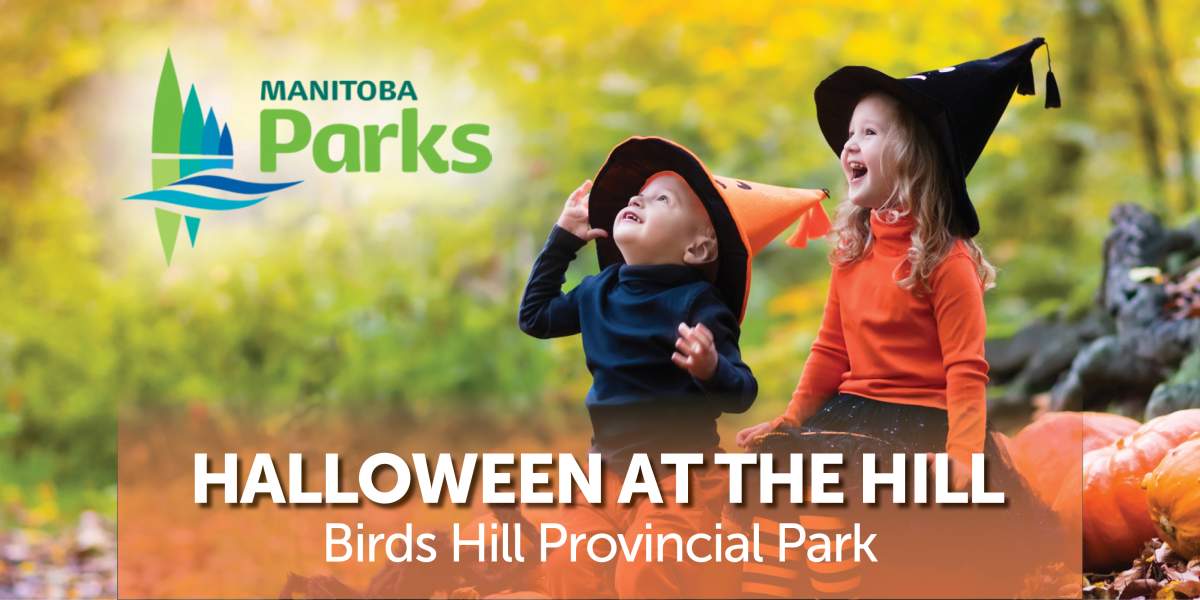 Halloween at the Hill - image