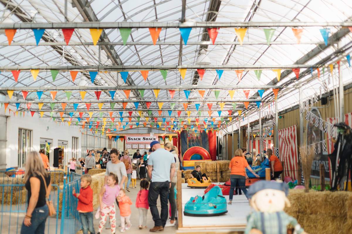 KIDS FUNZONE at SHELMERDINE - image