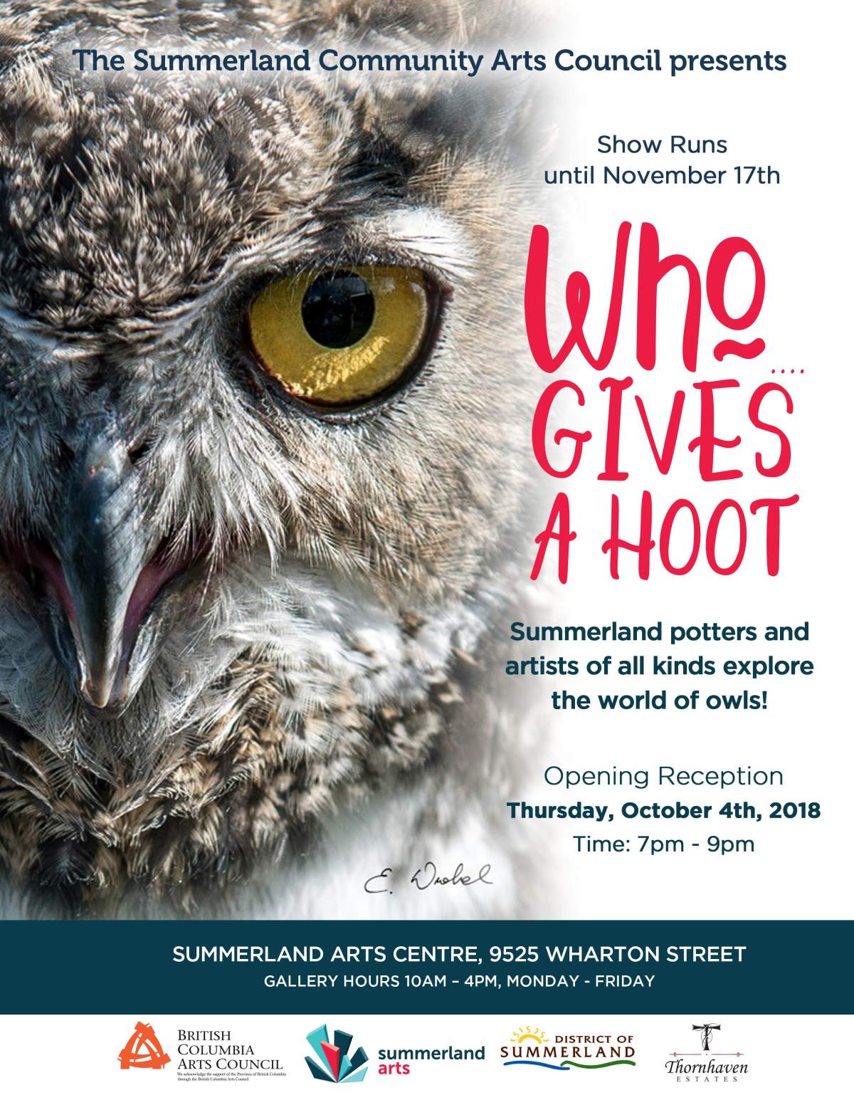 Who Gives a Hoot - image