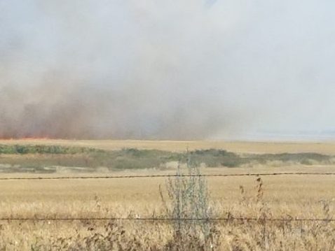 Flames and heavy smoke were seen billowing from a farmer’s field near Irricana on Saturday.