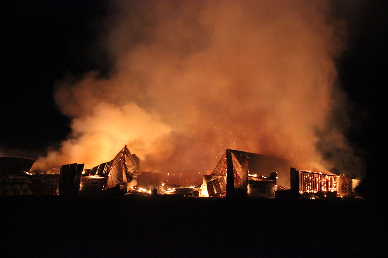 Barn destroyed in big fire at Agassiz dairy farm - image