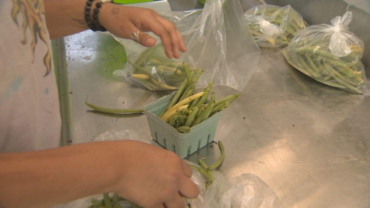 In the Youth Now Farm program, teenagers and young adults who struggle to find work are taught how to plant, harvest, wash and prepare a variety of produce. They also learn a number of food-related business skills, including how to sell the food at market.