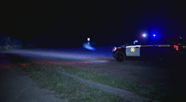 Police search for a bear in southwest Calgary Sunday night.