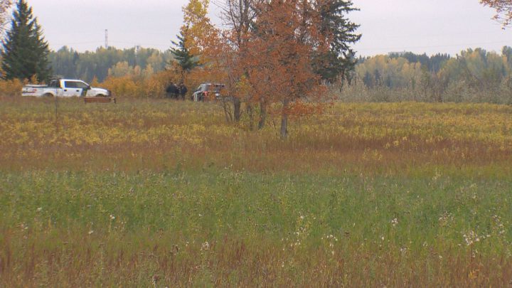 Alberta Fish and Wildlife employees were on scene near Weaselhead Flats on Sunday after multiple reports of black bear sightings.
