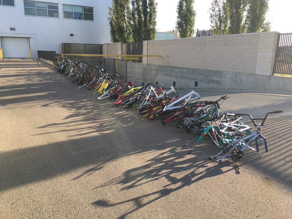Edmonton police recover 83 stolen bicycles, Thursday, Sept. 6, 2018.